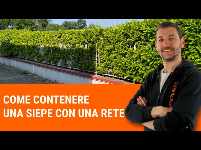 Come contenere una siepe con una rete