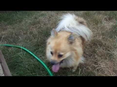 Tehya and Kelly Again