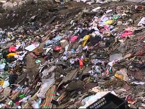 Čišćenje Brlje - prilog TVNK