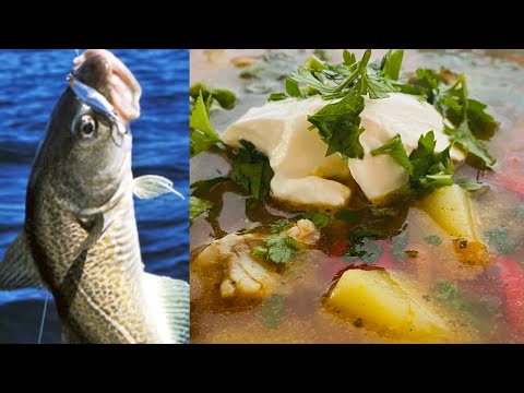 Nydelig ukrainsk fiskesuppe. Enkel og veldig god middag!