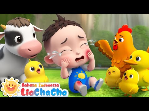 Bayi Terluka | Bermain Aman di Taman | Boo Boo Song | Lagu Anak-anak | LiaChaCha Bahasa Indonesia