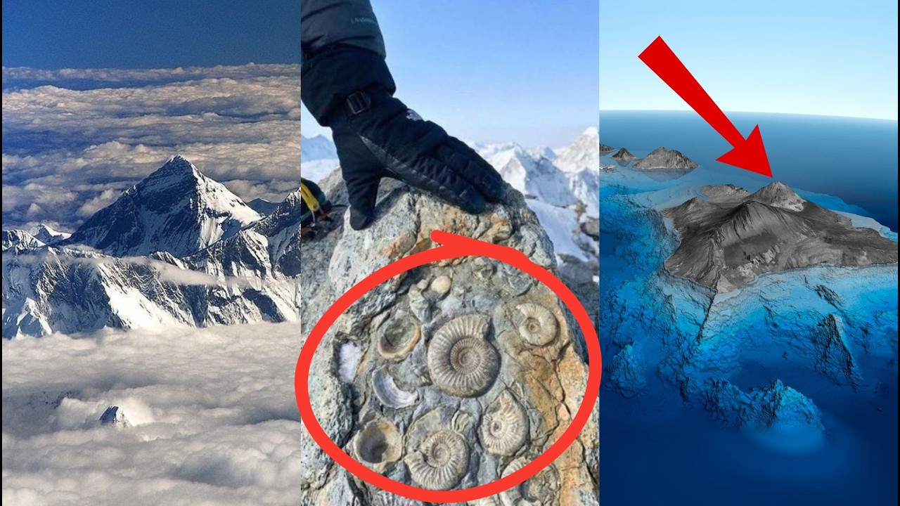 DESCUBREN en la CIMA del MONTE EVEREST ROCAS de ORIGEN MARINO e INCLUSO ANTIGUOS ORGANISMOS