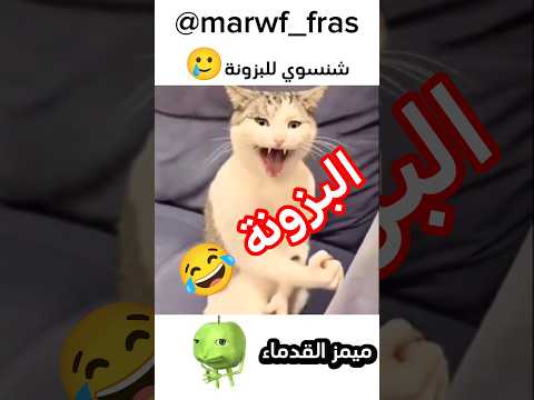 ههههه😂غير صالح للحيوانات😂 #ههههههه #ضحك #اكسبلور#الشعب_الصيني_ماله_حل #لايك #دويتو #كوميديات #funny