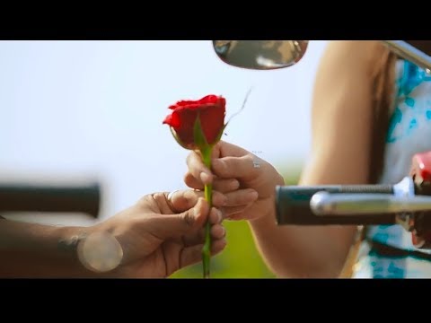 download lagu mp3 mp4 Whatsapp Video Status For Rose Day, download lagu Whatsapp Video Status For Rose Day gratis, unduh video klip Whatsapp Video Status For Rose Day