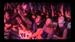 El tercer deseo - Buitres.