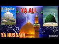 Mola Ali Mola Ali Mola Status New Mola Ali WhatsApp Status