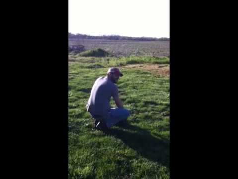 Airbag destruction of a microwave