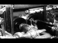 Cracking Nuts 1955