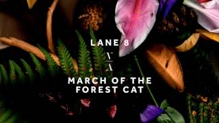 Lane 8 - March Of The Forest Cat video