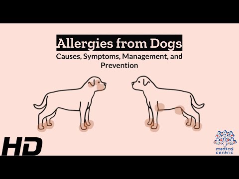 Wheat Allergy Causes Signs and Symptoms Diagnosis and Treatment