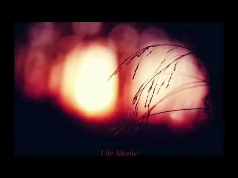 Mehdi Belkadi & Jeef B - Dimension (Original Mix) [Operator Records]