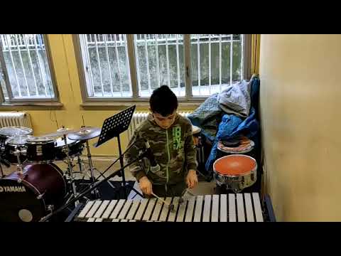 Concertino del 22 - 12  -  2022 - video mixati - Scuola Media Donatello  Ancona