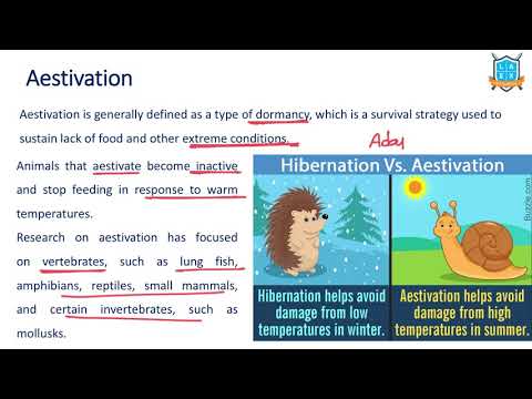 What is Aestivation ? || Aestivation అంటే ఏమిటి?