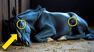 CABALLO ENVENENADO ESTÁ AGONIZANDO, LO QUE SU DUEÑA HACE PARA SALVAR SU VIDA… TE HARÁ LLORAR