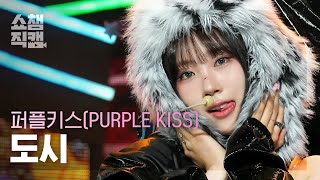 [쇼챔직캠 4K] PURPLE KISS DOSIE - Intro : Crush + BBB (퍼플키스 도시 - 크러시+비비비) |Show Champion|EP.511|240327