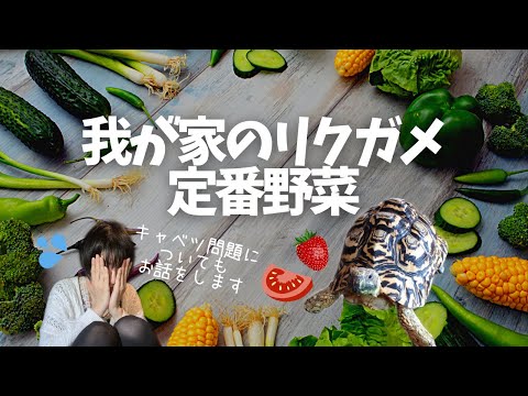 チチュウカイリクチソウ