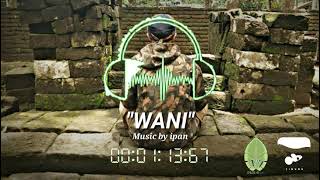 Download lagu Musik jawa 'WANI' mp3