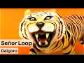 Señor Loop - Daigoro (Video Oficial)