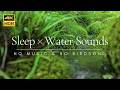 Purest Sounds Of Water Of A Mossy Creek Sleep ASMR HD AUDIO