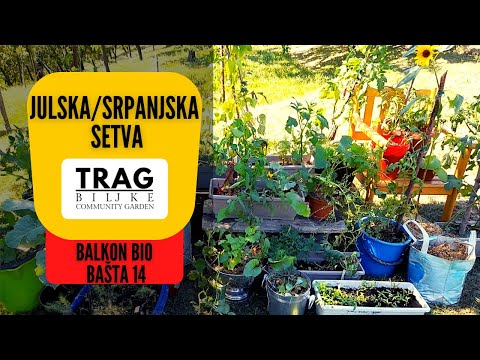 JULSKA/SRPANJSKA SETVA - BALKON BIOBAŠTA 14 (2022) [TRAG BILJKE]