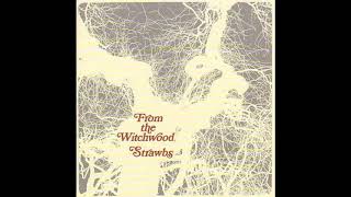 Music video thumbnail preview for Strawbs - Witchwood by Strawbs