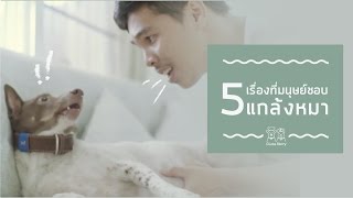 Gluta Story : 5 เรื่องที่มนุษย์ชอบแกล้งหมา