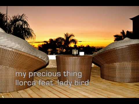 My Precious Thing ~ Llorca feat. Lady Bird