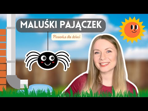 Maluśki Pajączek - polska wersja amerykańskiej piosenki dla dzieci Itsy Bitsy Spider