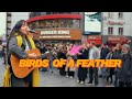 Everyone STOPPED For This BIRDS OF A FEATHER Cover Billie Eilish