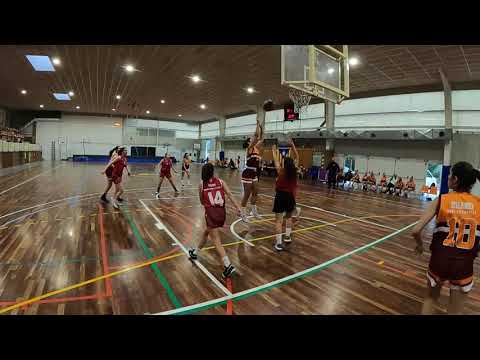 UE Cellera Amer Les Planes 64 - 36 Vedruna Girona 04