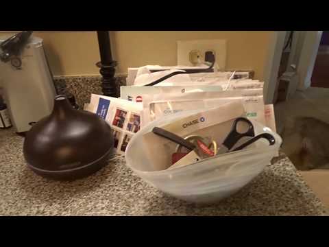 download lagu mp3 mp4 Mail Kitchen, download lagu Mail Kitchen gratis, unduh video klip Mail Kitchen