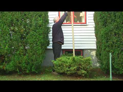 Min Fågelholk okt-17