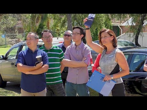 Yovanka Lee Auction Profile - 21 Arnold Street Peakhurst