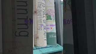 ギネスに登録された世界一大きな壁画❣️仁川港で発見#kpop #korea
