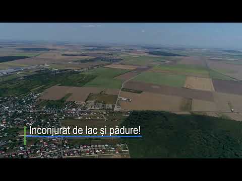 Teren de vânzare în Brănești Pasărea