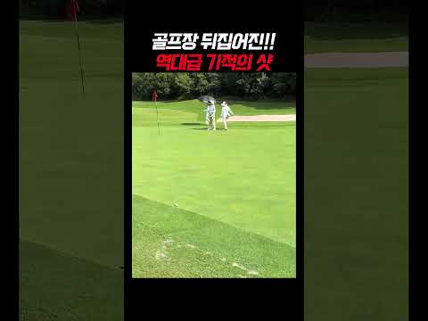 캐디님도 소리 지르게 만든 레전드 퍼팅 😲🔊👏 #웃긴 #웃긴짤 #웃긴영상 #나이스샷 #골프스타그램