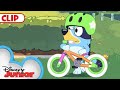Bluey Season 1 Episode 11 Bike Episode Clip Disneyjr Bluey​