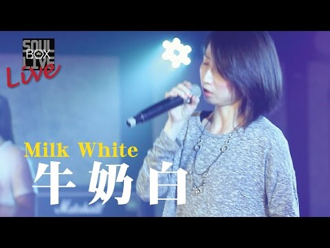 BOX80 牛奶白 Milk White/Cheers│Soul Live Box 台灣原創現場