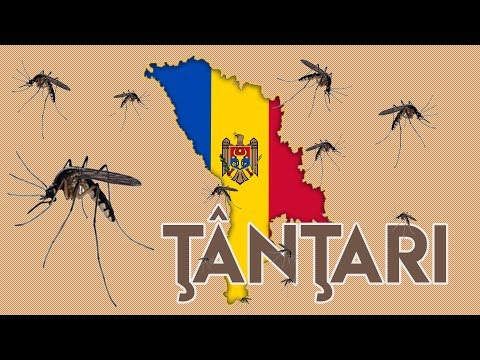 cistite o uretrite rimedi naturalization cistite o uretrite rimedi naturalization