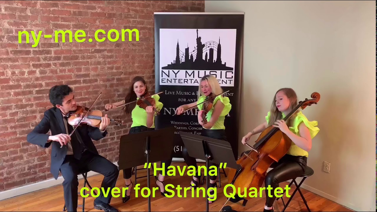 Promotional video thumbnail 20 for NY Music Entertainment