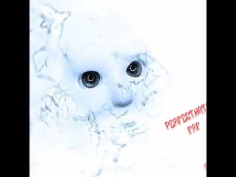 PerfectHate - человечество Humanity