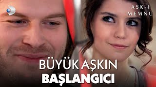 Download lagu Bihter ve Behlül Arasındaki Çekim Aşka Dönüştü! - Aşk-ı Memnu Özel Kolaj mp3