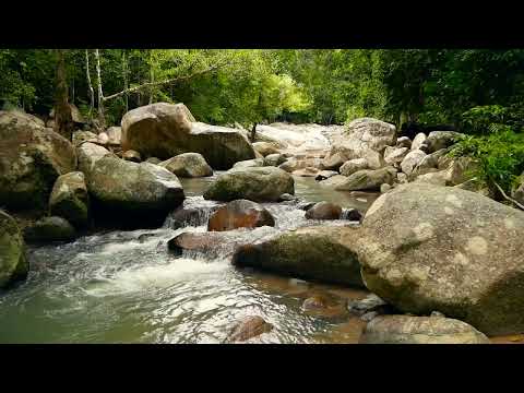 28 Minute Power nap/Sleep – The River of the Mind, with sleep affirmations