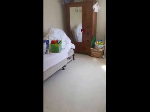 warrington carpet cleaners video.