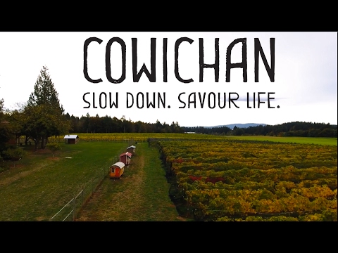 Tourism Cowichan - Unsworth Vineyards