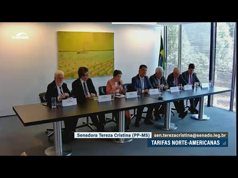 Ação de comitiva de senadores nos EUA tem balanço positivo, diz Tereza Cristina