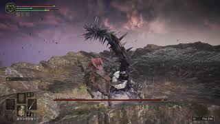 【ELDEN RING/エルデンリング】#42 ランドマーク巡り【実況】