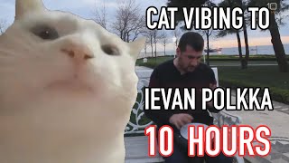Cat Vibing To Ievan Polkka 10 Hours