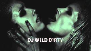 DJ WiLD - All That I Want Is You (from D!rty album, released on Cabin Fever / Rekids)