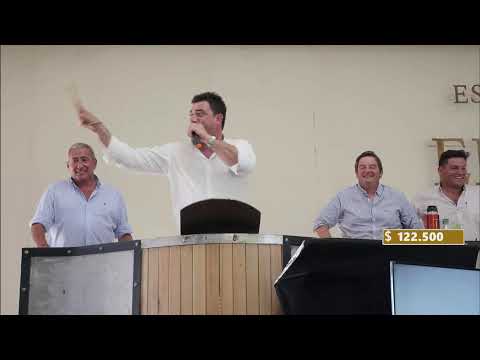 EN VIVO | Remate Televisado| Cabaña Los Alfredos | Santa Rosa, Mendoza | 29/10/2021